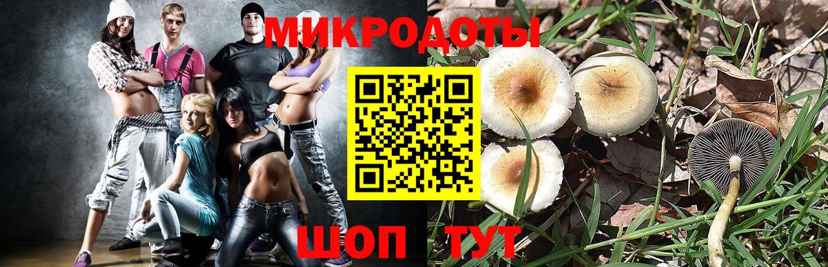 Химки  Псилоцибиновые грибы GOLDEN TEACHER  где купить наркоту  Вход с VPN 